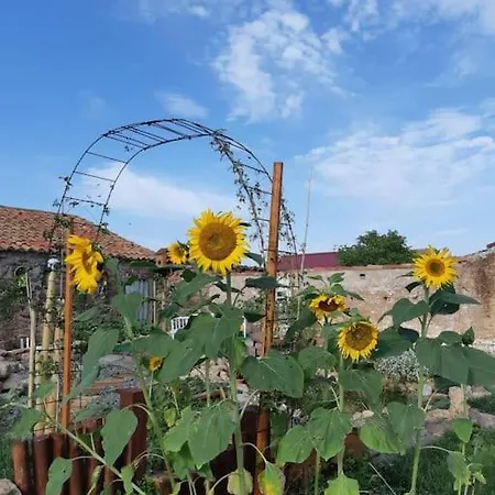 La Quibla De Abuhan Holiday home *