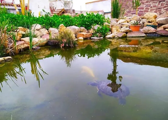 Semesterbostad La Quibla De Abuhan Caudé