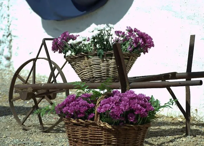 La Quibla De Abuhan Semesterbostad Caudé